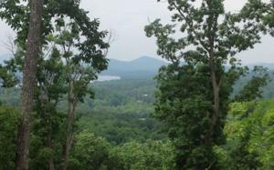 65M RIDGES OVERLOOK