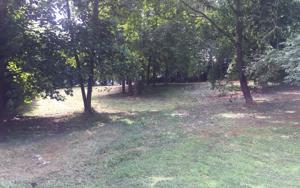LOT SNEAKING CREEK DR