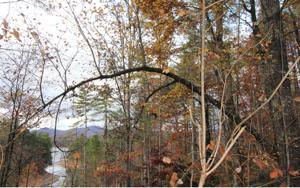 00 NANTAHALA DRIVE