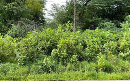 Lot 27 Sneaking Creek Drive