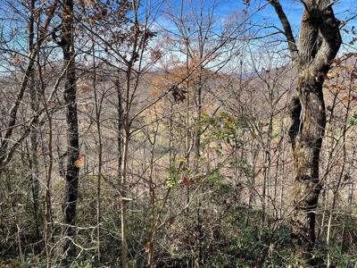 Lot 31J Ashe Branch Drive