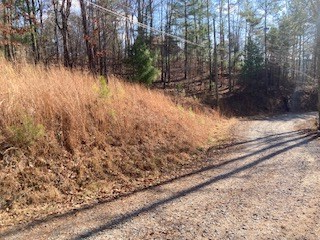 Image 3: ROAD FRONTAGE