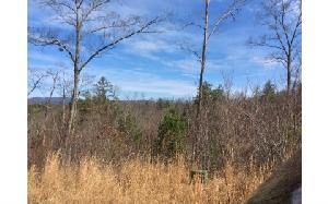 LT 13 HIDEAWAY HILLS