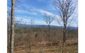LT 46 HIDEAWAY HILLS
