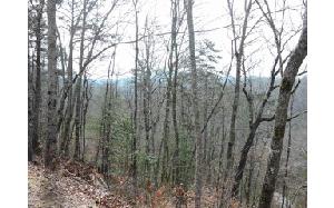 LT 51 HIDEAWAY HILLS
