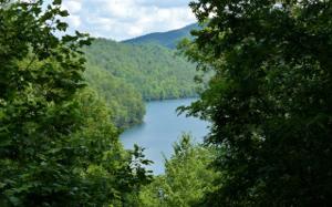 603 WILDERNESS LAKE CR