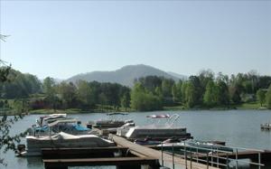 799 CHATUGE VILLAGE CIR