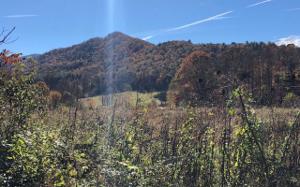 0 HOG CREEK RD.