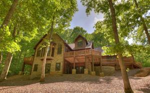 1569 SHADY FALLS