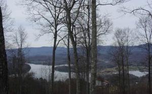 LOT 77 EAGLES VIEW CIR