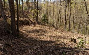00 MOCCASIN TRAIL