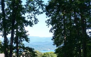 74 EAGLES VIEW