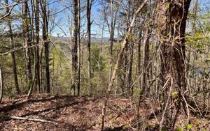 LT33 WILDERNESS LAKE DR