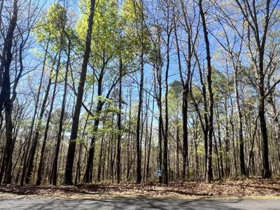 Lot 93 Doll Mountain Road