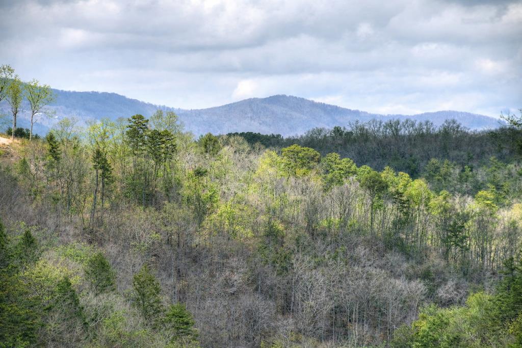 Image 2: Year Round Mtn View
