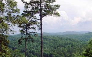 LOT52 WYAH RIDGE