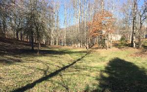 TR 1 HOLLAND DR