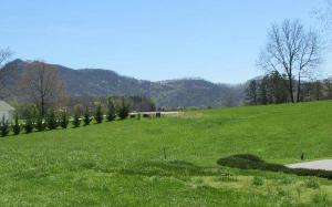 #17 SNEAKING CREEK