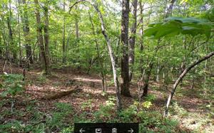 LOT 3 STAR CREEK ESTATES S