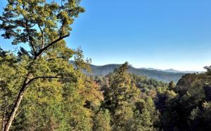1-15B MAJESTIC MOUNTAIN TR