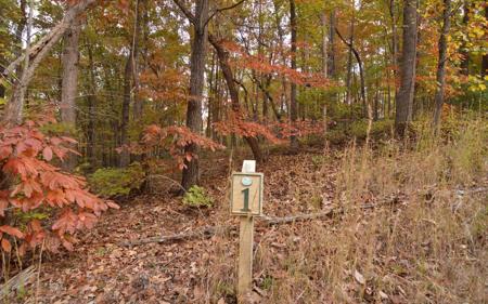 Lot 1 Serenity Ridge Lane