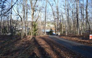 #32 HIAWASSEE LAKE EST.