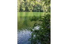 23 WILDERNESS LAKE CIR