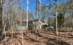 161 BLUEBIRD LANE
