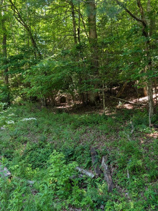 Image 1: Main View