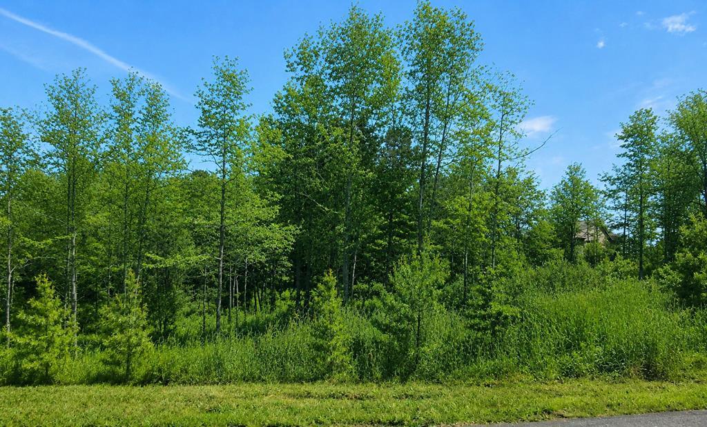 Image 1: Main View