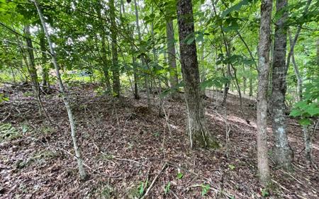 Lot 3 Morgan Creek, Ph Ii