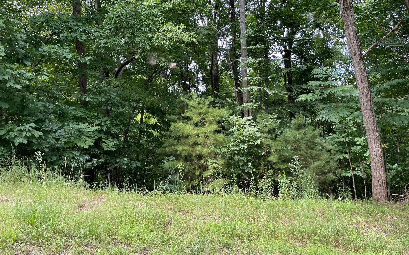 Image 4: Additional View