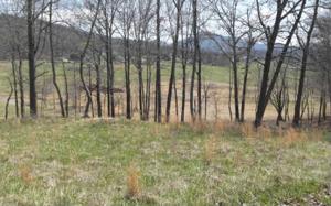 LOT10 SNEAKING CREEK DRIVE