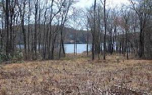 LOT 205 CAMPBELL COVE RD