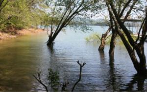DRY BRANCH RD