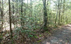 AND CREEK ROAD