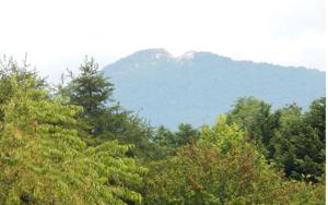 LOT 6 HIGH MEADOWS
