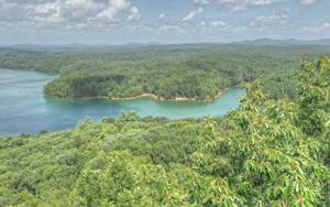 L 147 NECOWA COVE