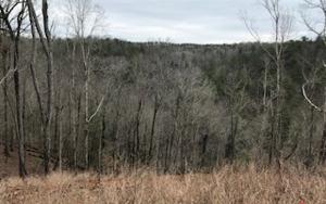 LT759 FLAT RIDGE RD