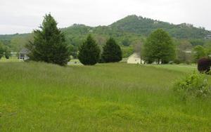 #13 BELL CREEK COVE