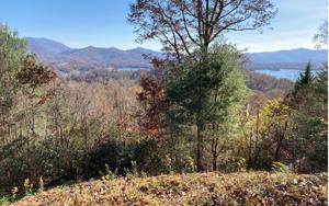LOT 2 OVERLOOK DRIVE