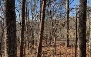 1.8AC TIMBERLINE LANE