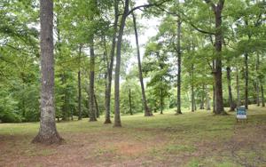 DRAKE RIDGE DR. LT.9