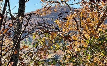 37M Mountain Harbour Drive
