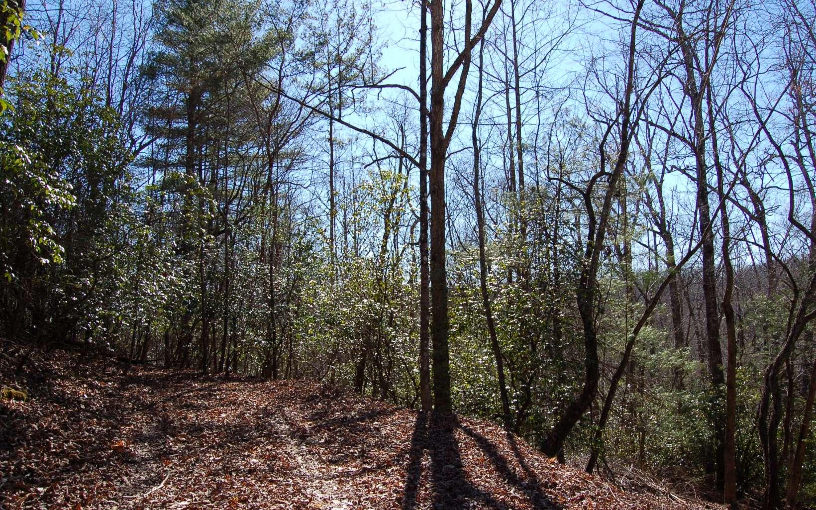 Image 2: Additional View