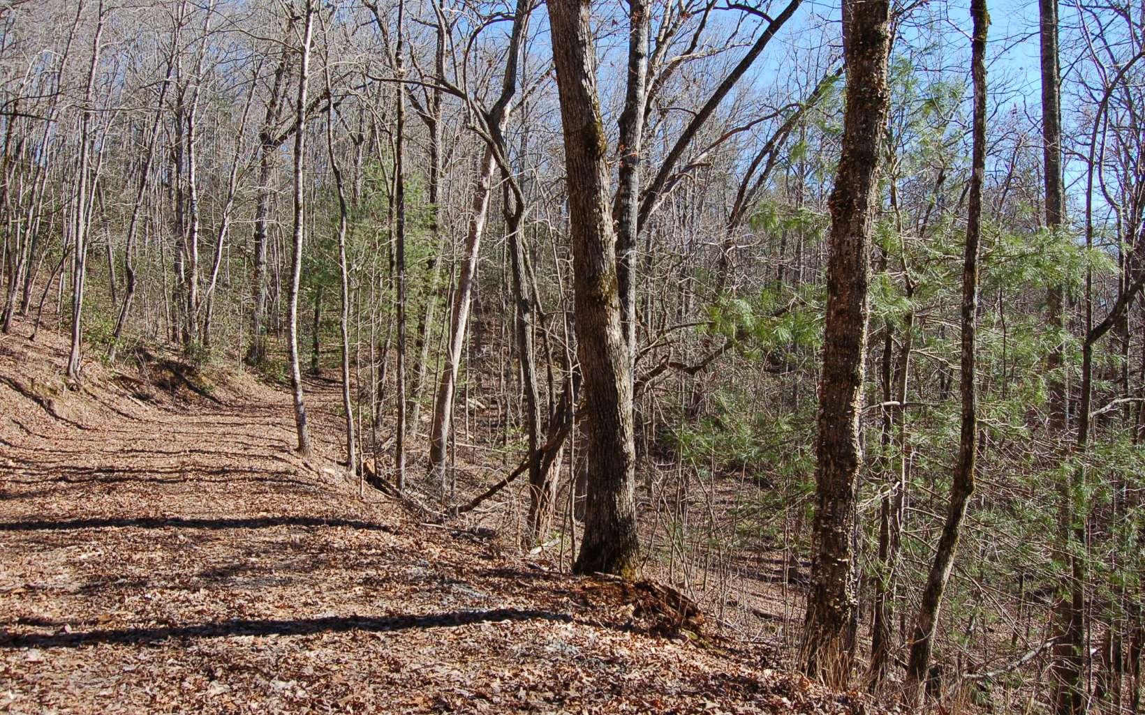 Image 3: Additional View