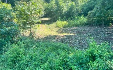 2342 Hwy 76