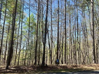 Lot 92 Doll Mountain Road