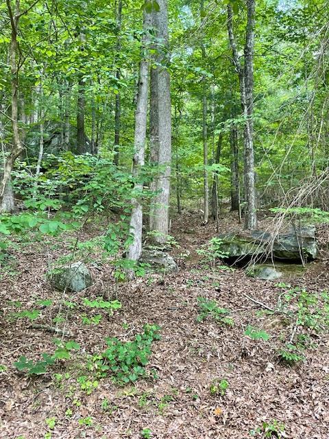 Image 1: Main View