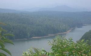 LAKE VIEW ESTATES